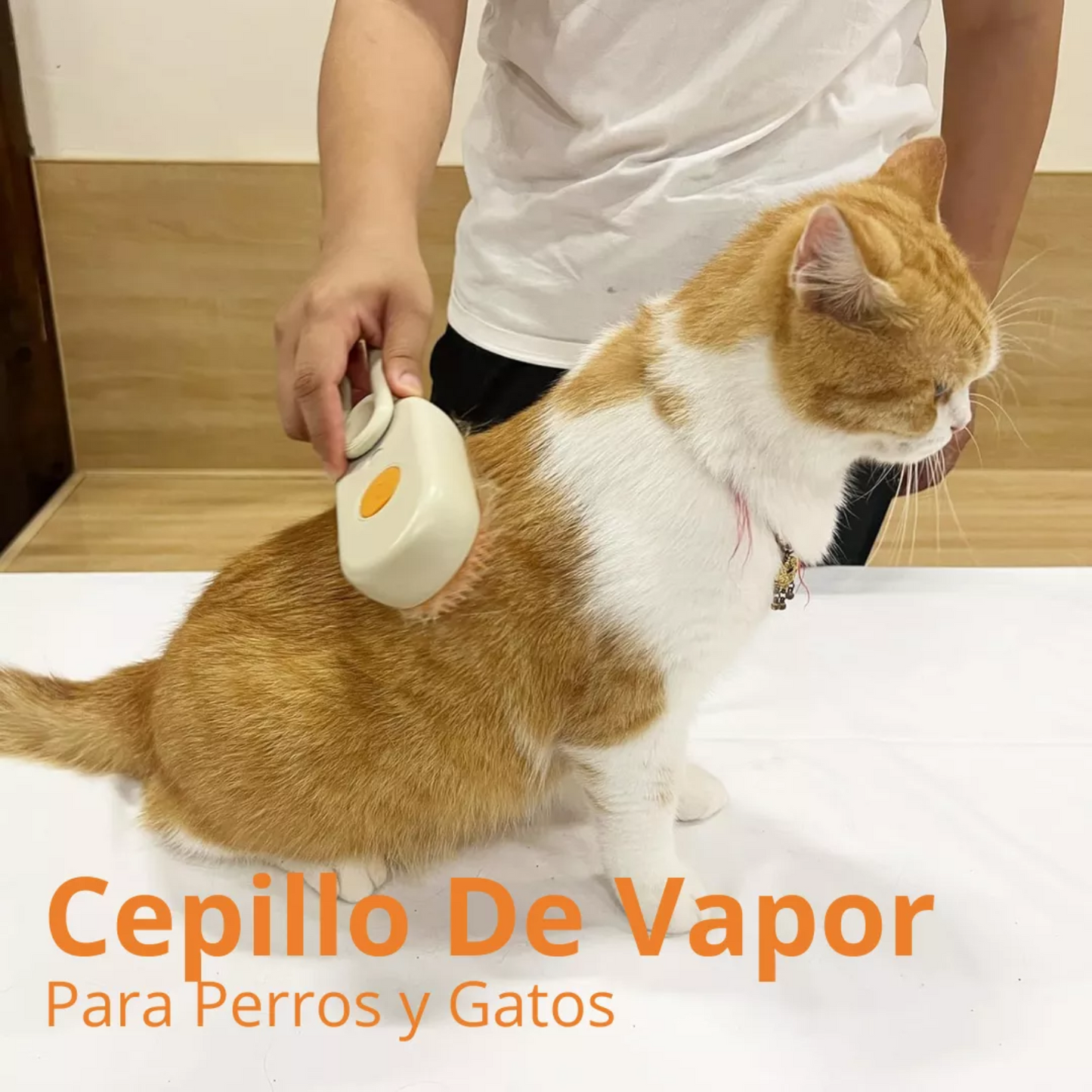 Cepillo para mascotas a vapor recargable